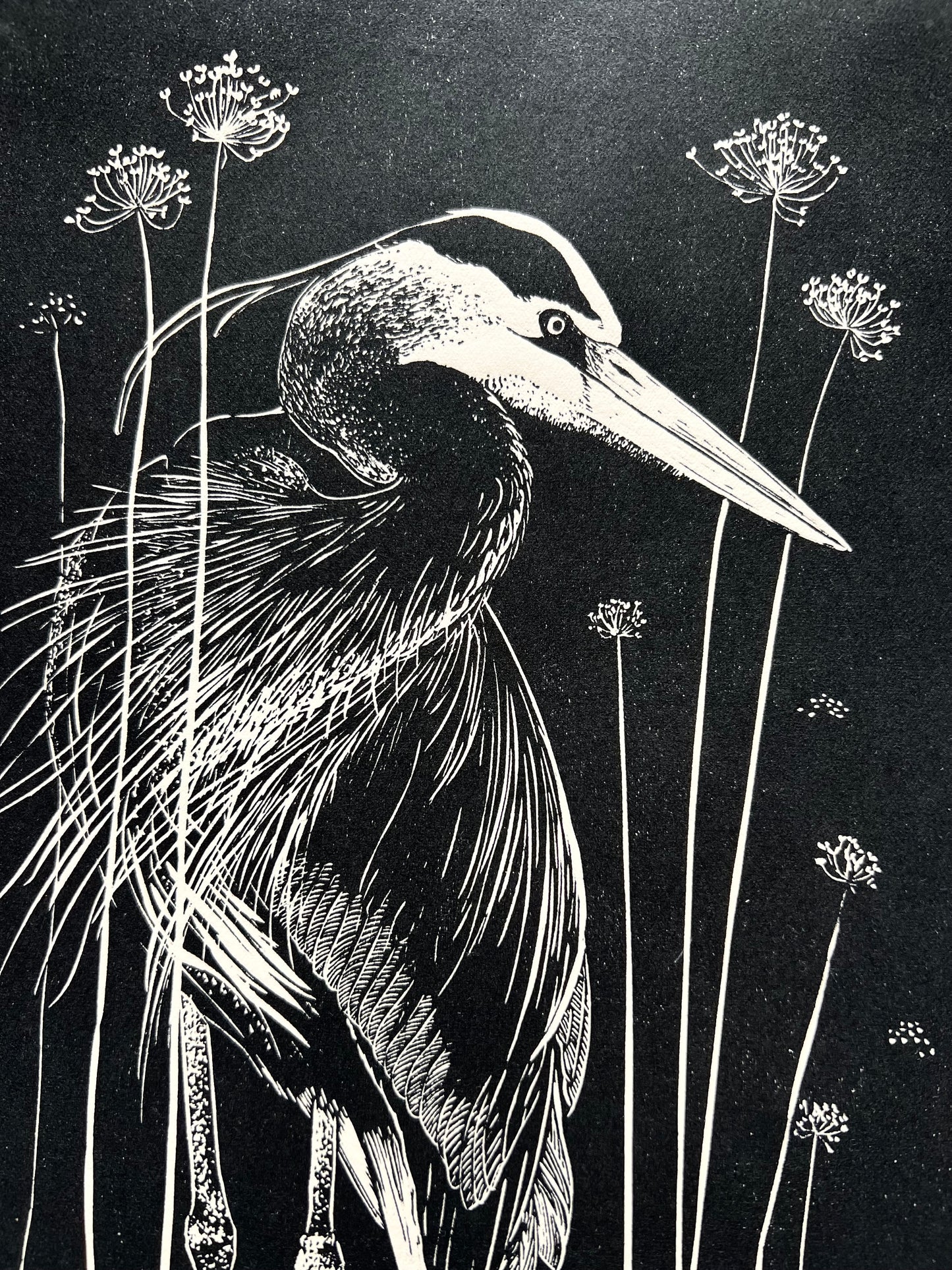 Linoryt „Jestem piękna”