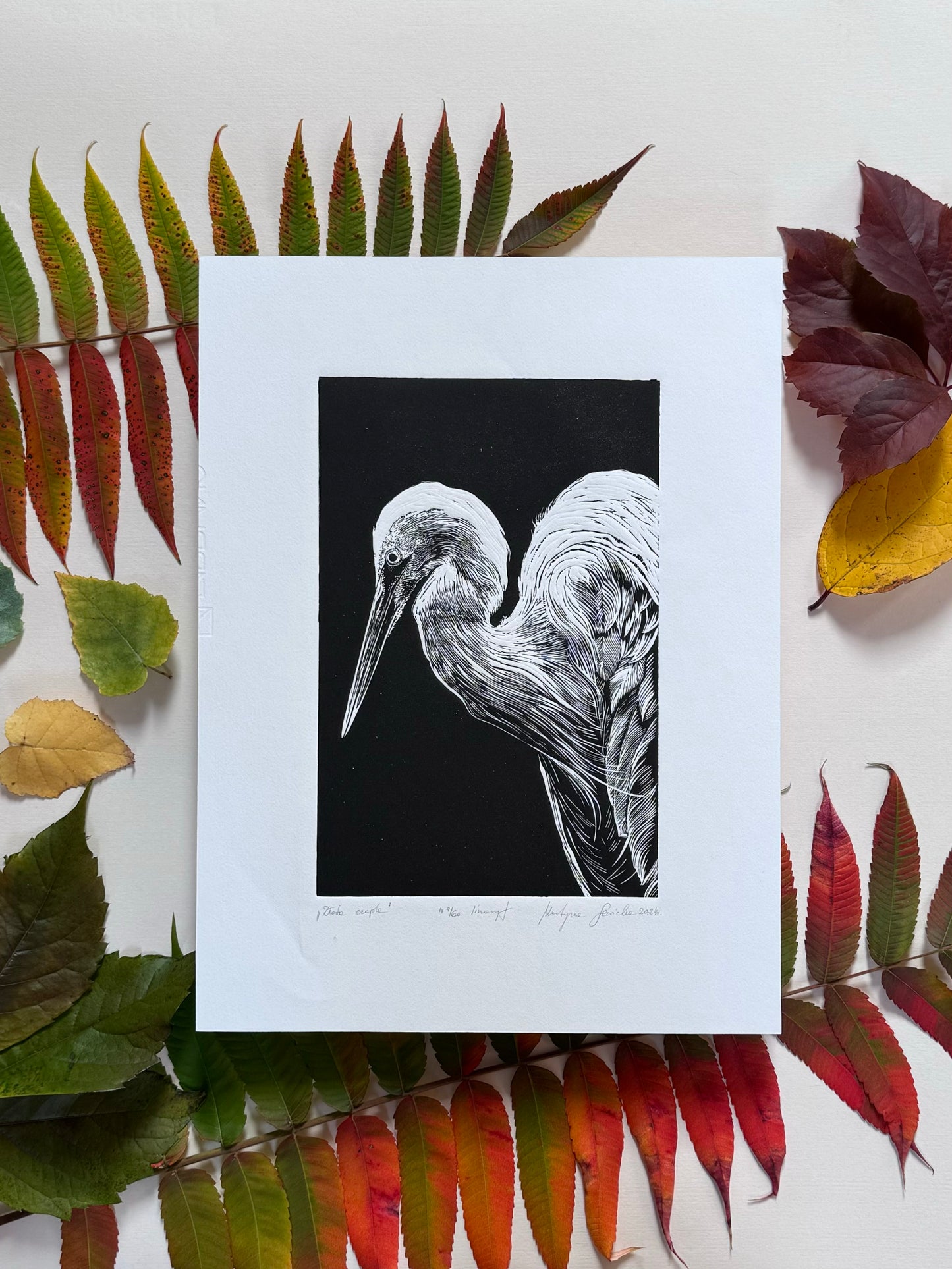Linoryt pt. „Złota czapla" 30x40 cm