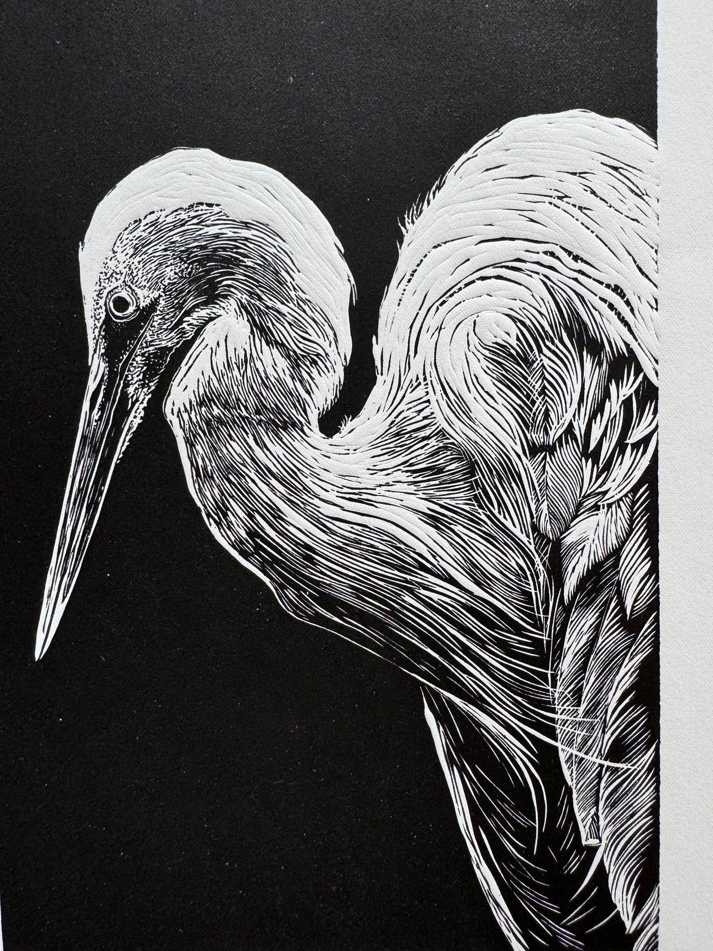 Linoryt pt. „Złota czapla" 30x40 cm